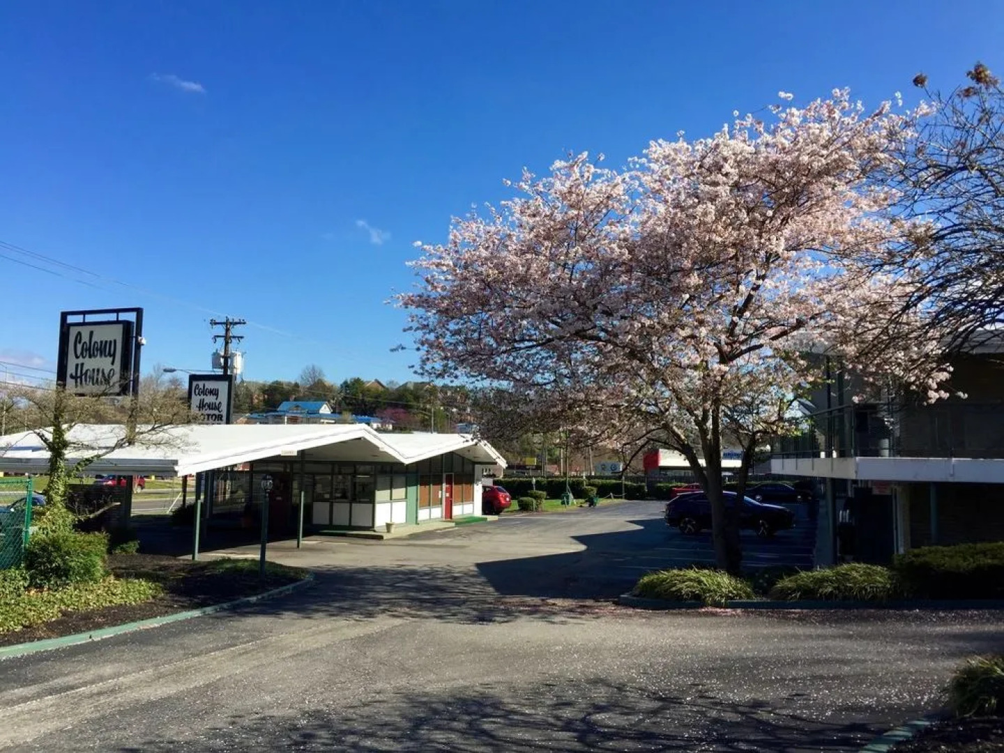 Colony House Motor Lodge