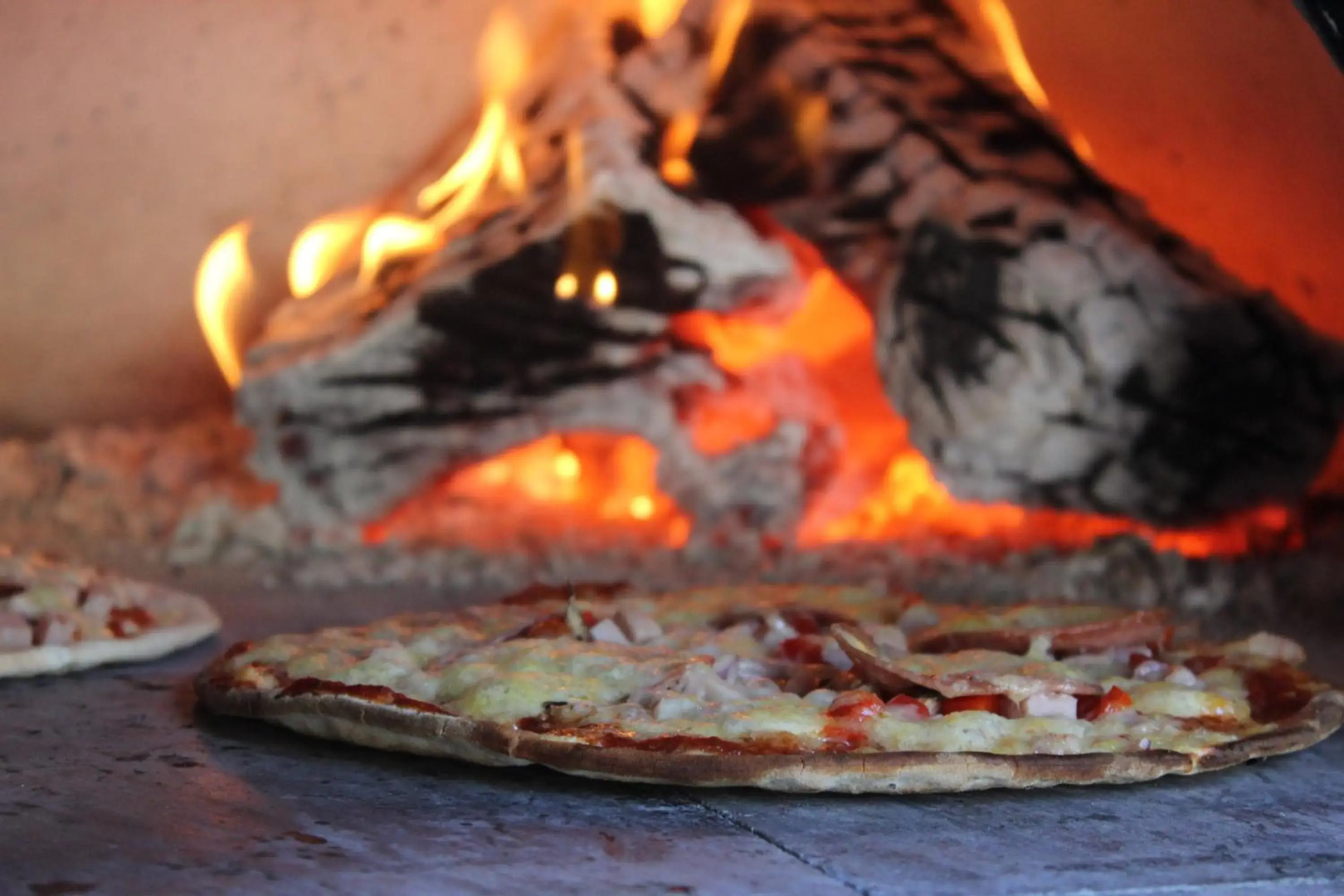 Dusky Lodge - Hostel