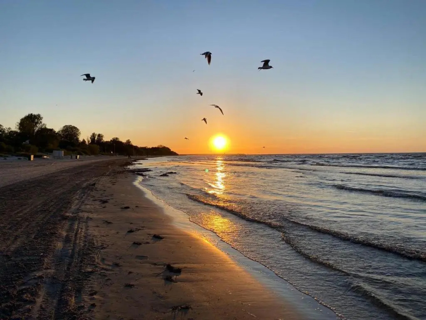 Коттедж у моря. Гостевой дом Melon