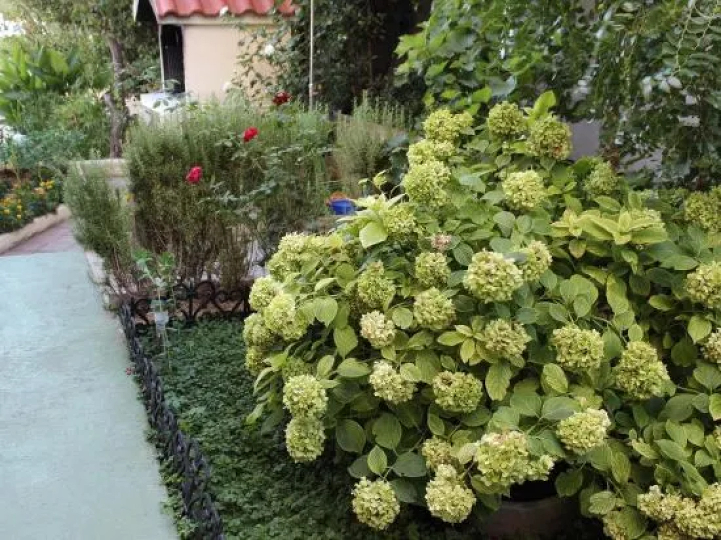 Apartments Miriam Srima