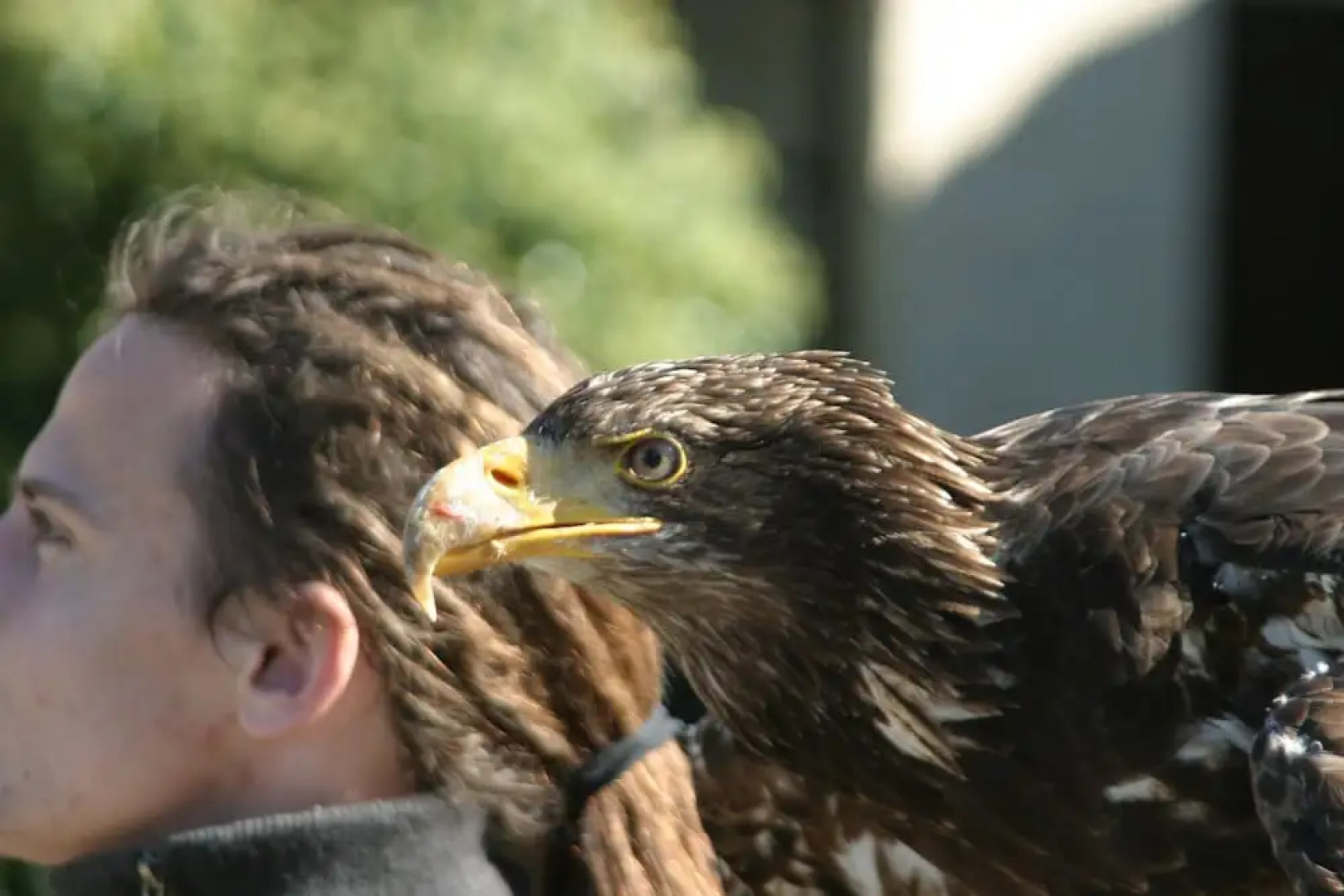 Living in the old Granary