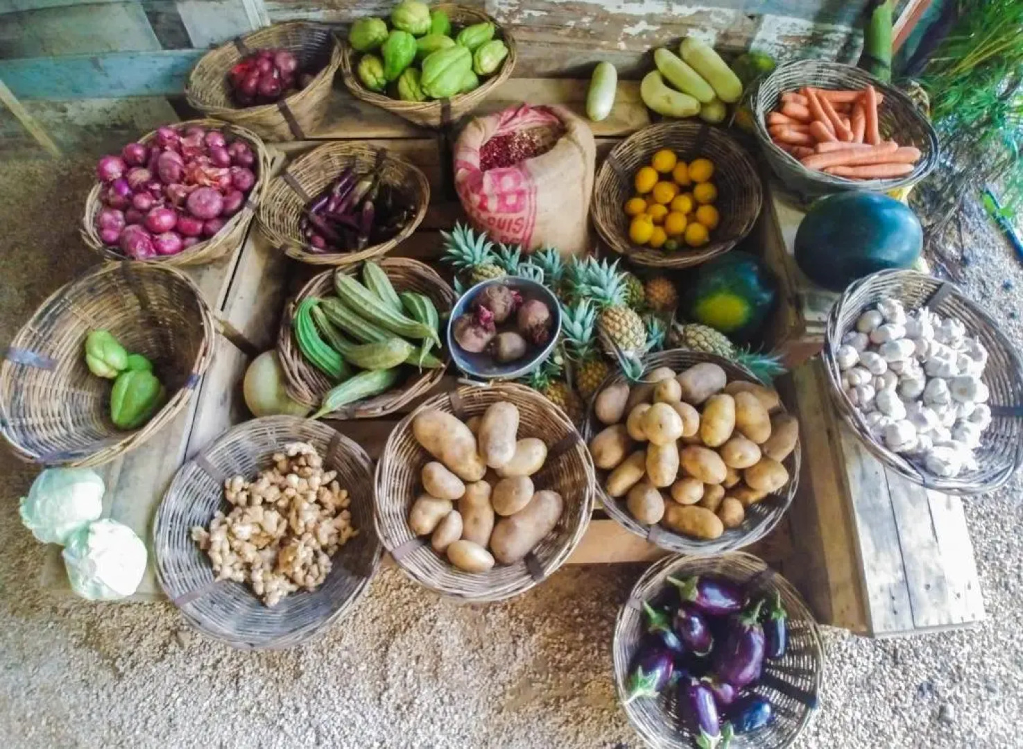 Otentic, Eco Tent Experience