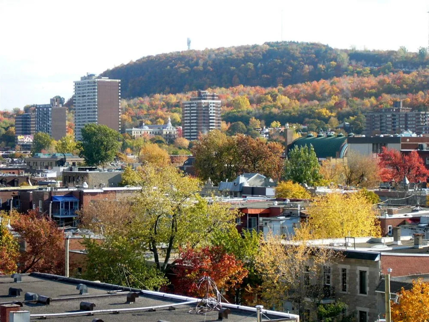 Hotel Plateau Royale