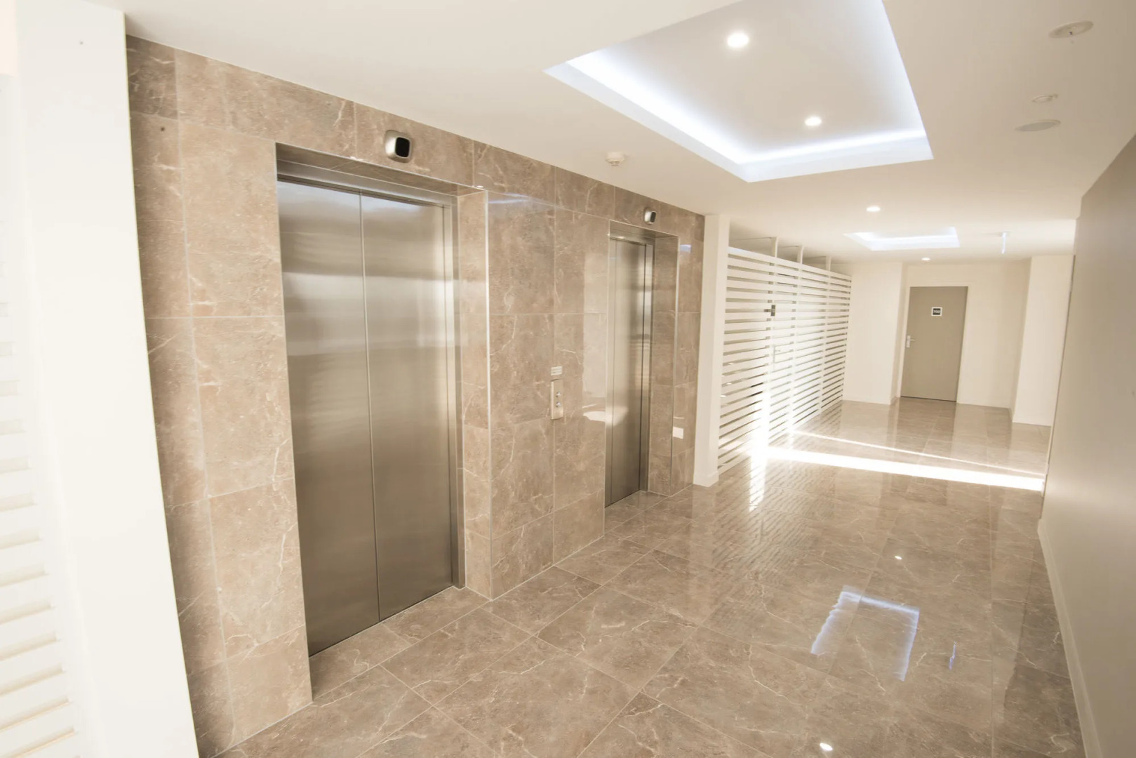 Verve on Cotton Tree