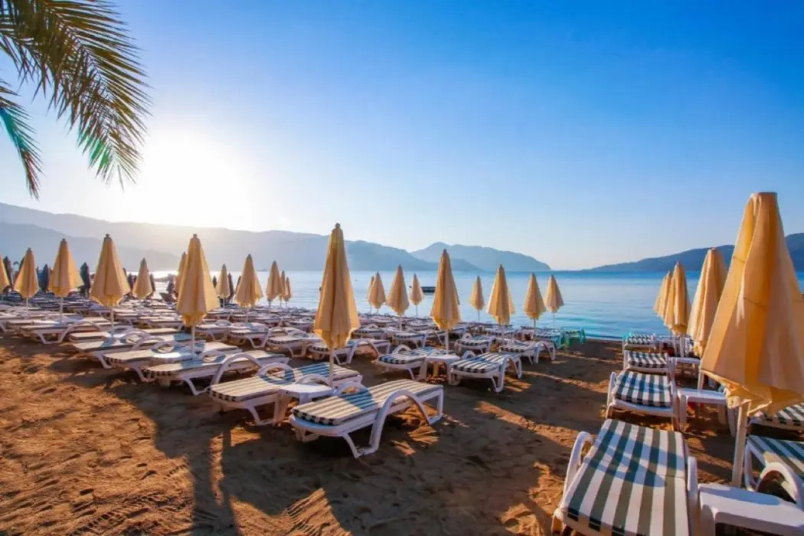 Отель Aurasia Design