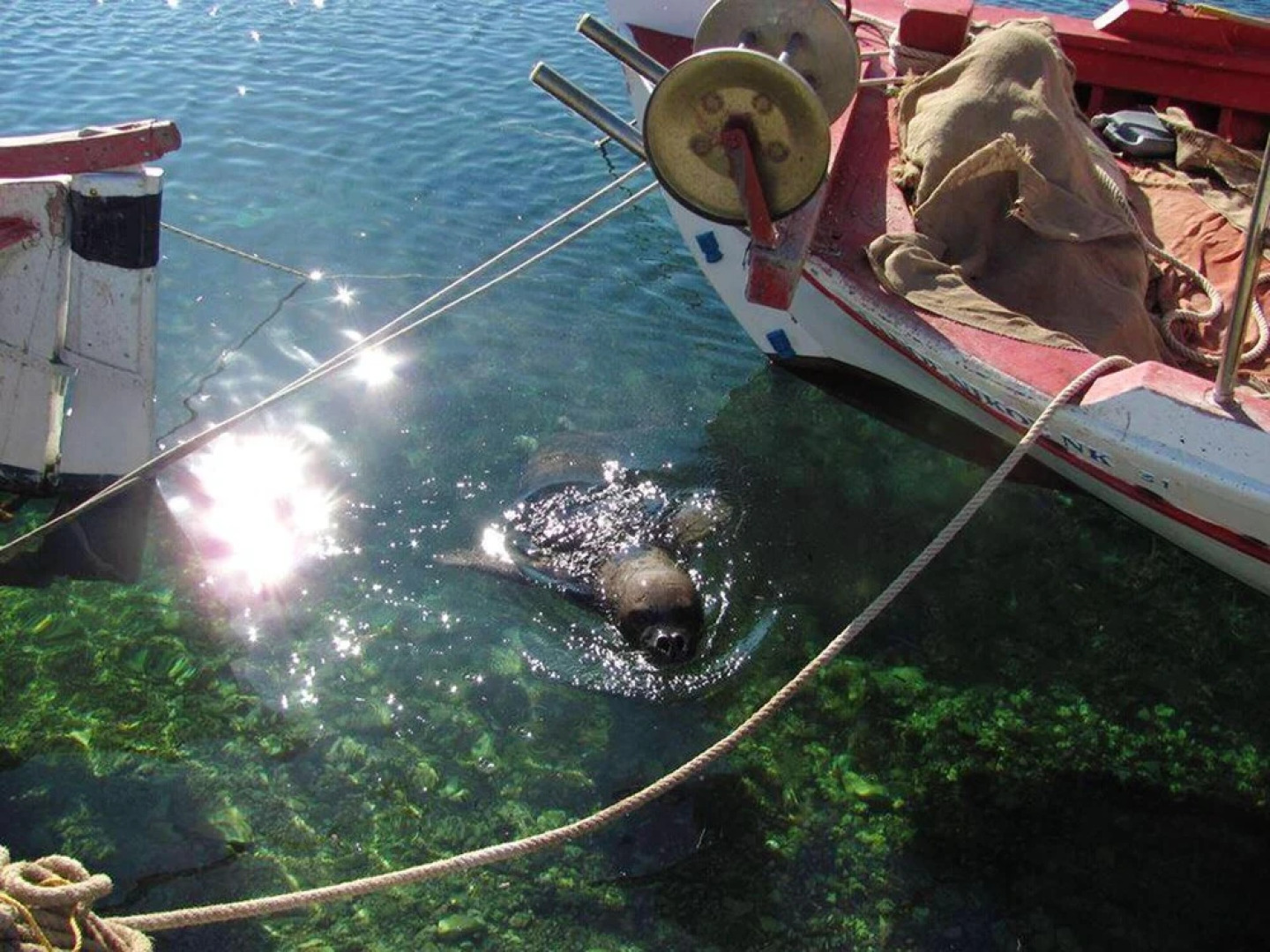 Holiday Home Lalares