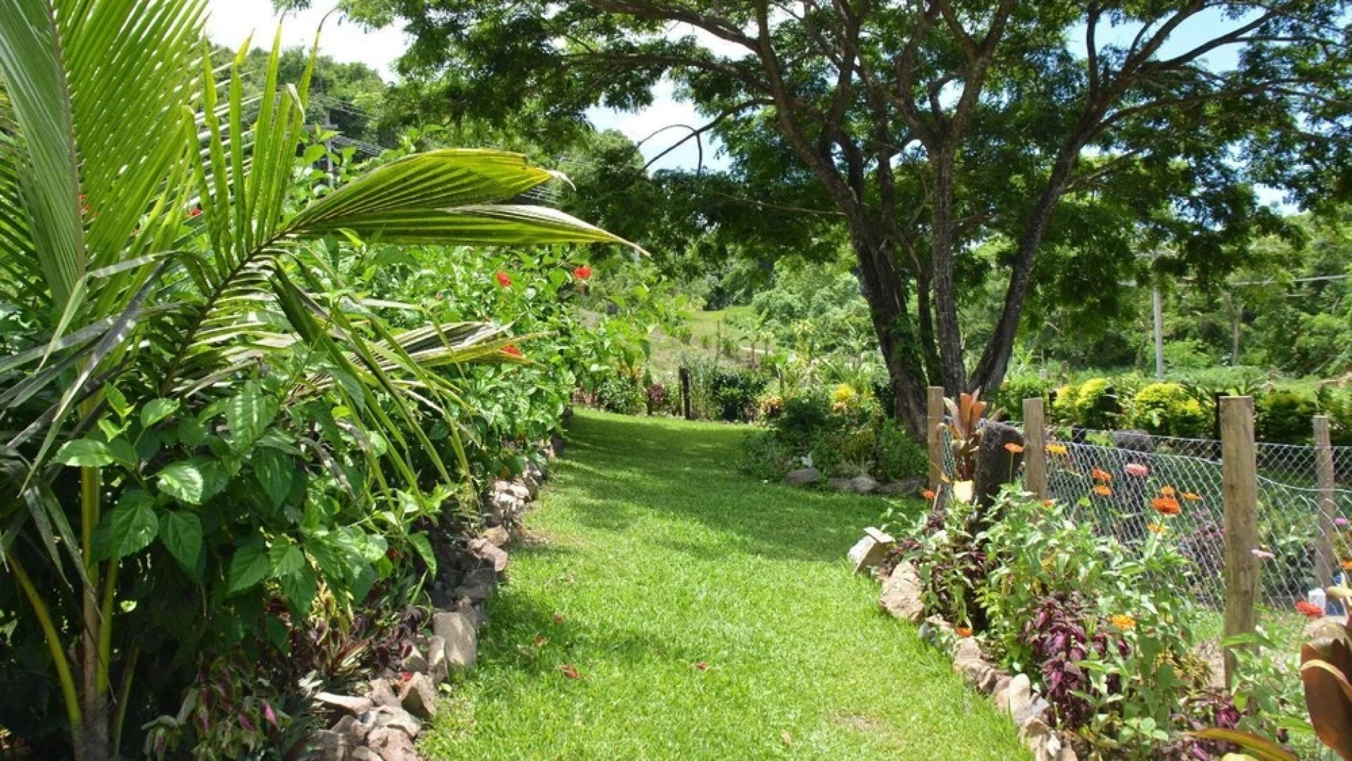 Fijian Oasis