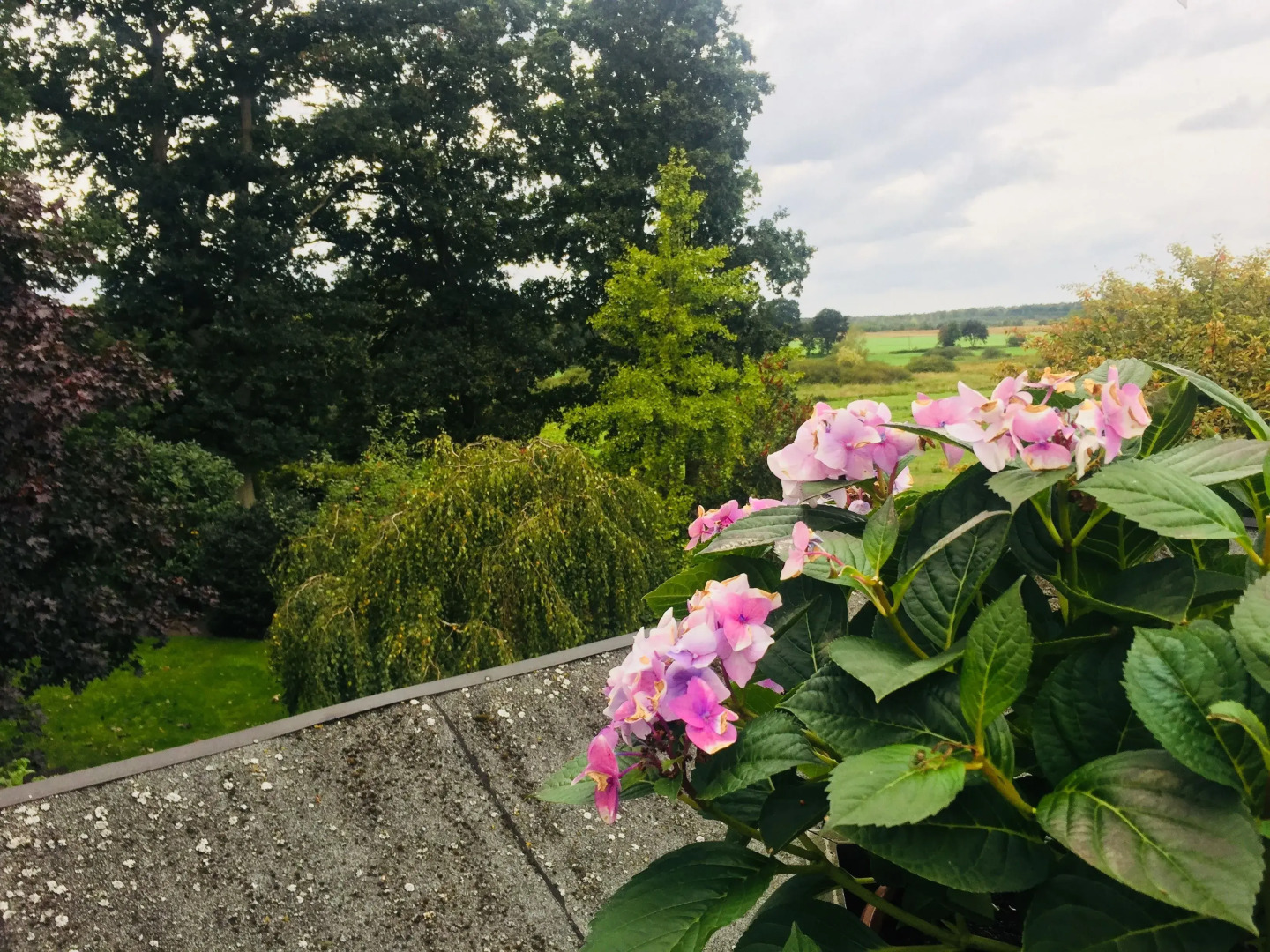 Hotel Restaurant Wülfers Gasthaus