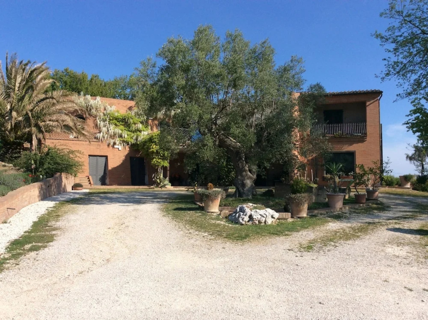 Il Podere Degli Ulivi