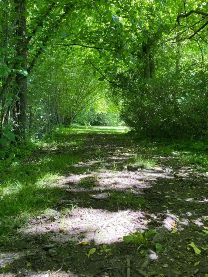 Domaine de Vadancourt