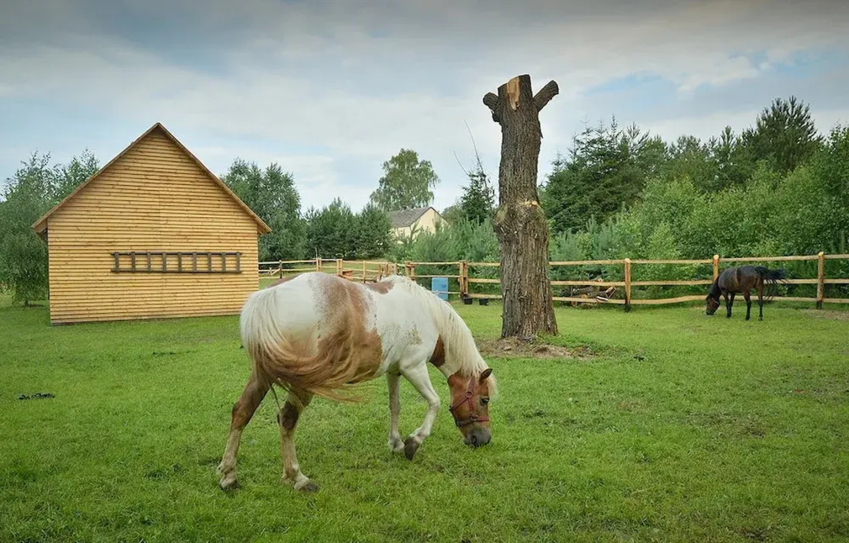 Holiday Home in Skrzynia With Terrace