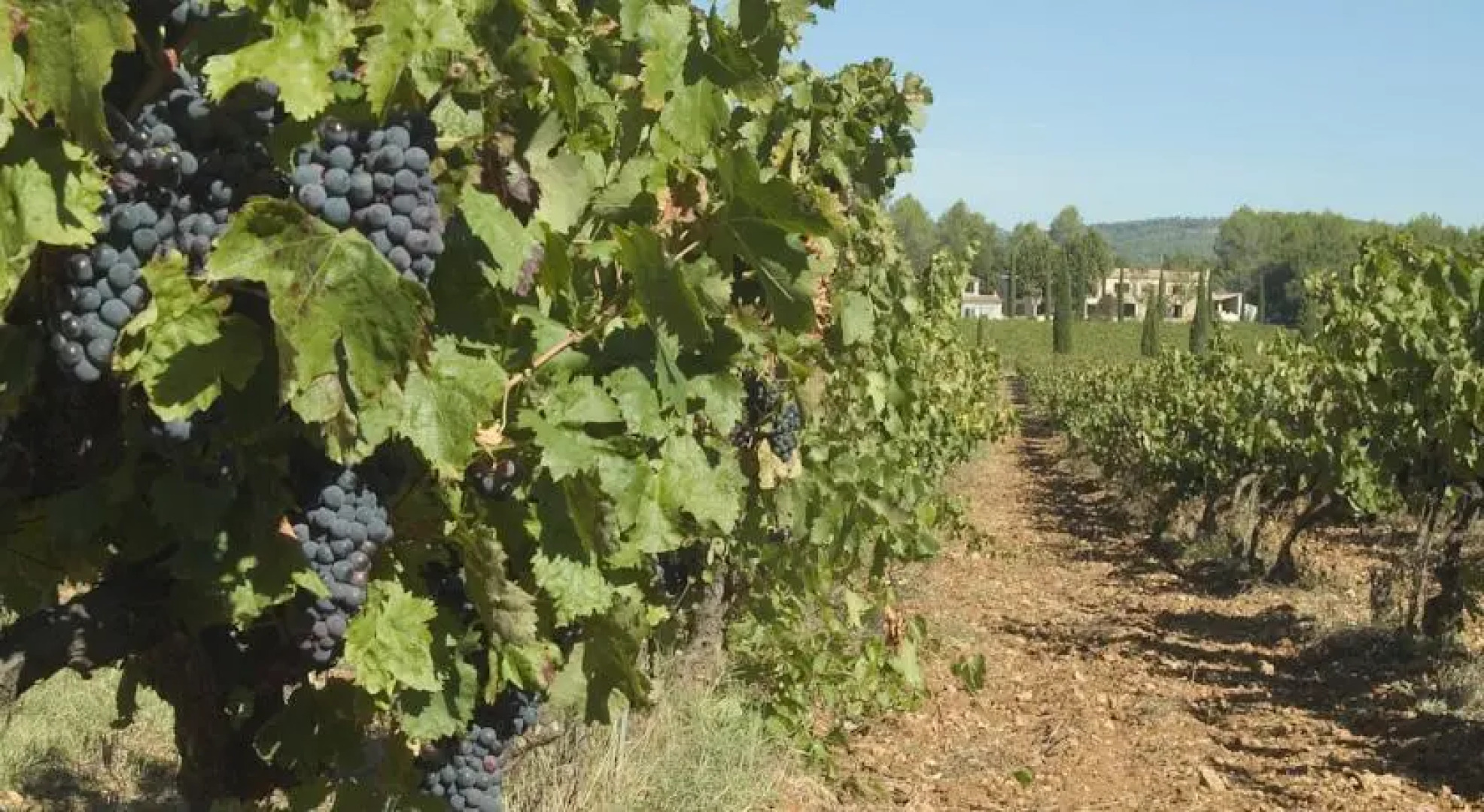 Domaine Clos de LOurs