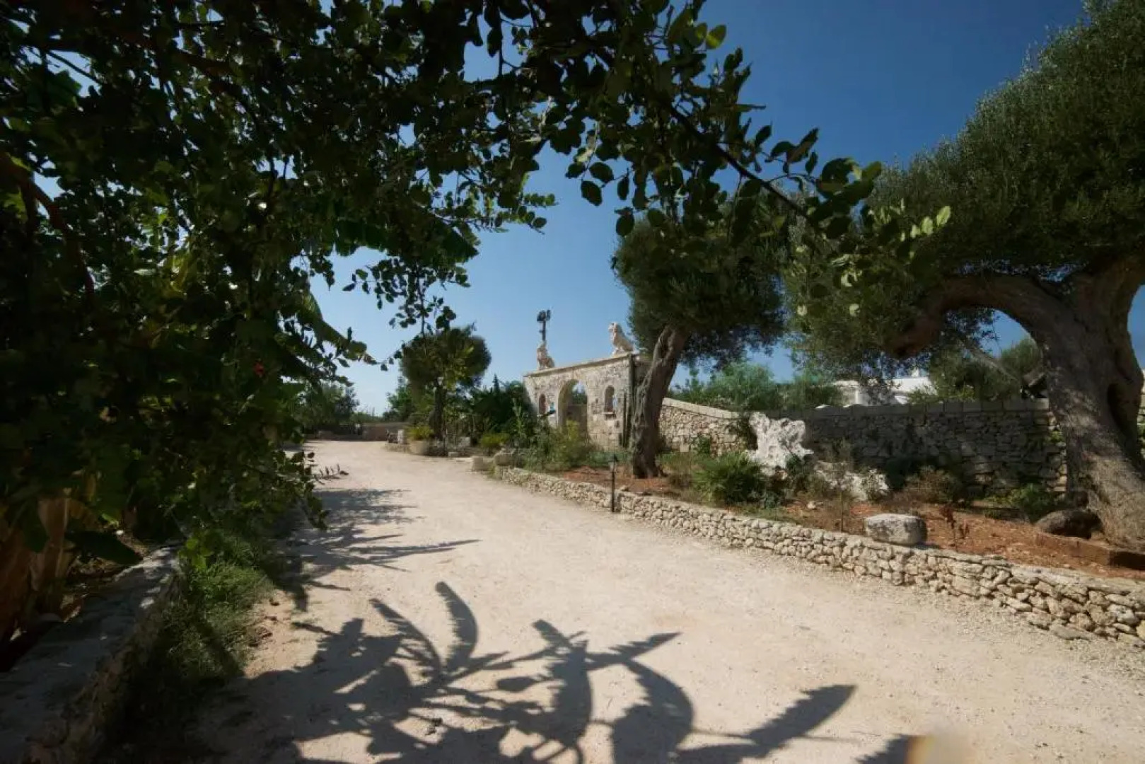 Masseria Cinti