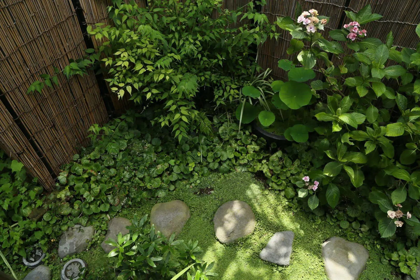 Guest House Kamejikan - Hostel