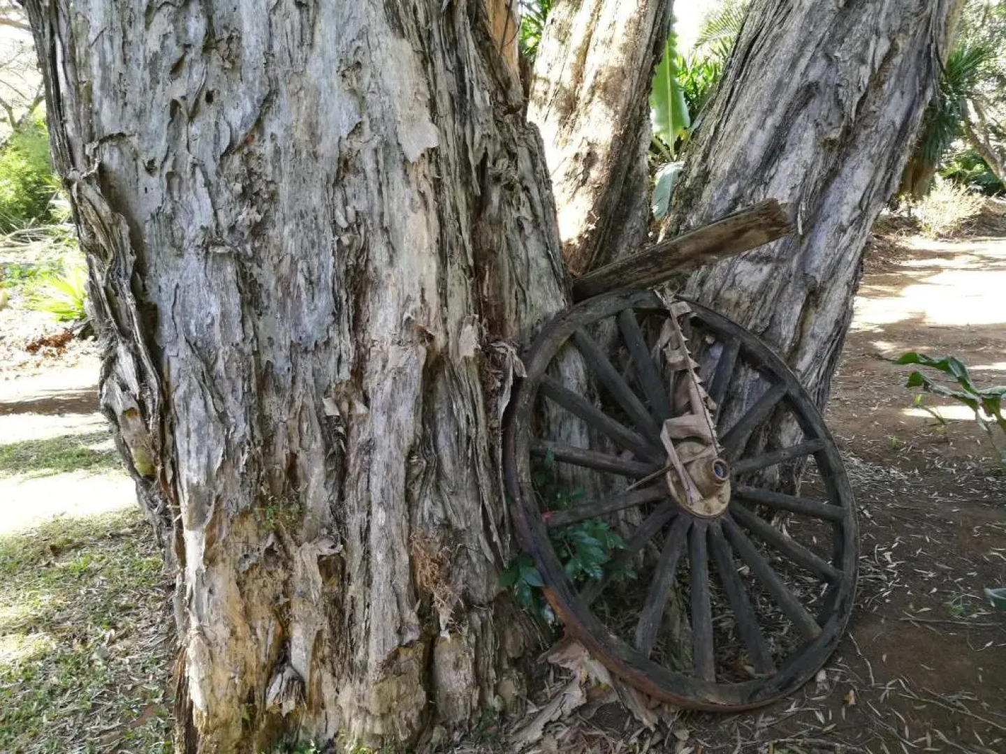 Casa del Cafe-Familiar