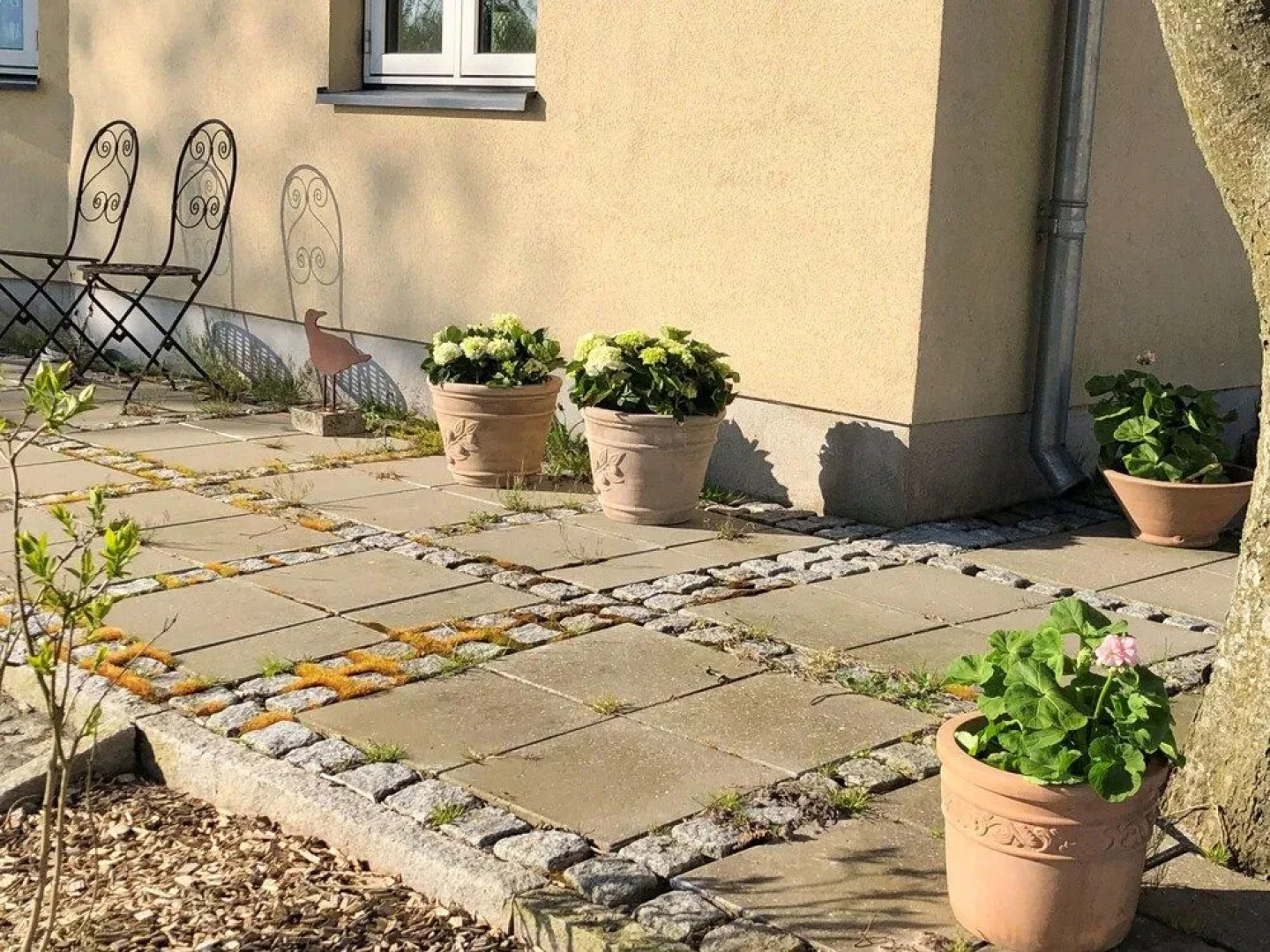 Basballegaard Bed & Breakfast