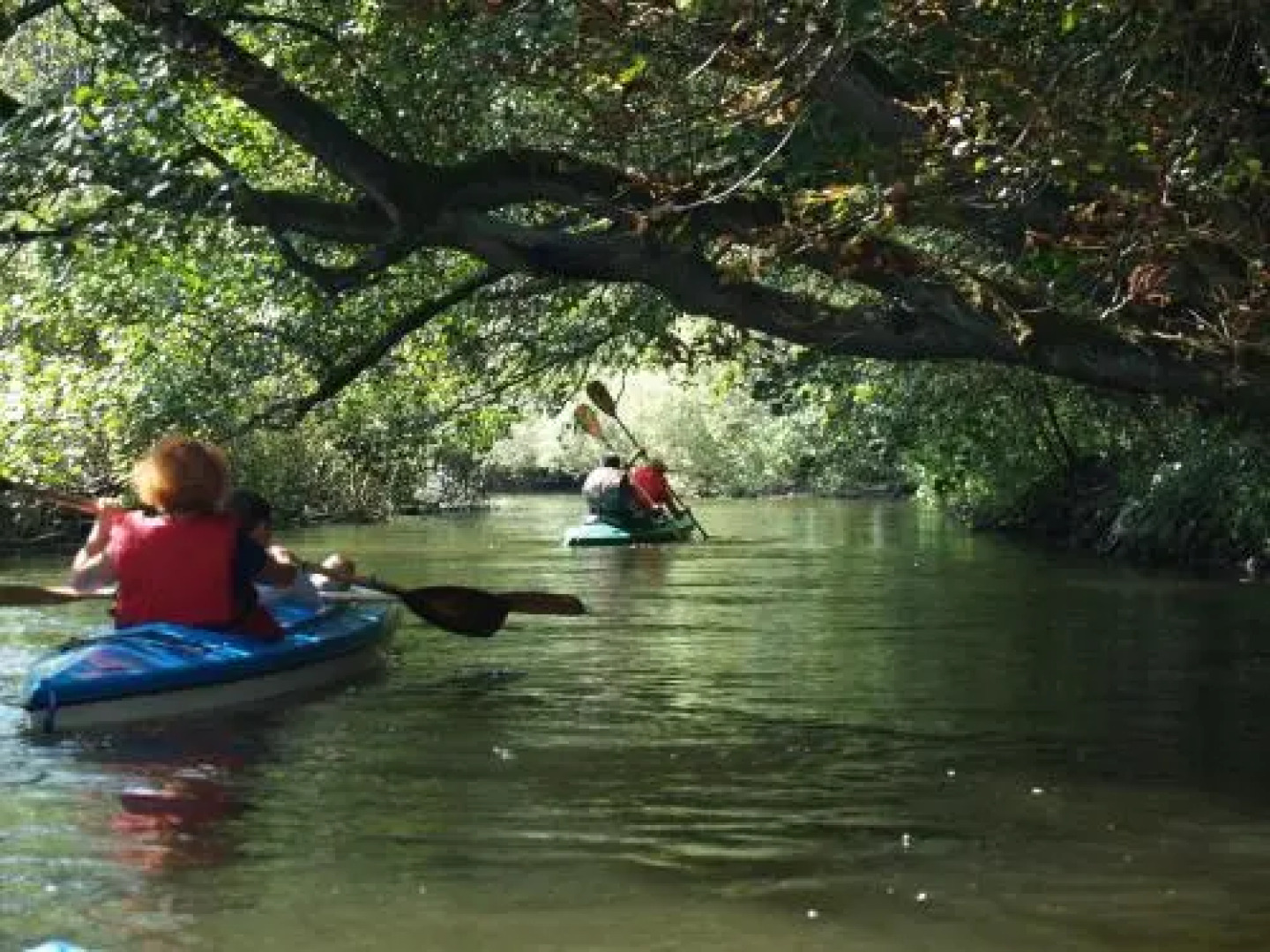 Apartament w Drawsku