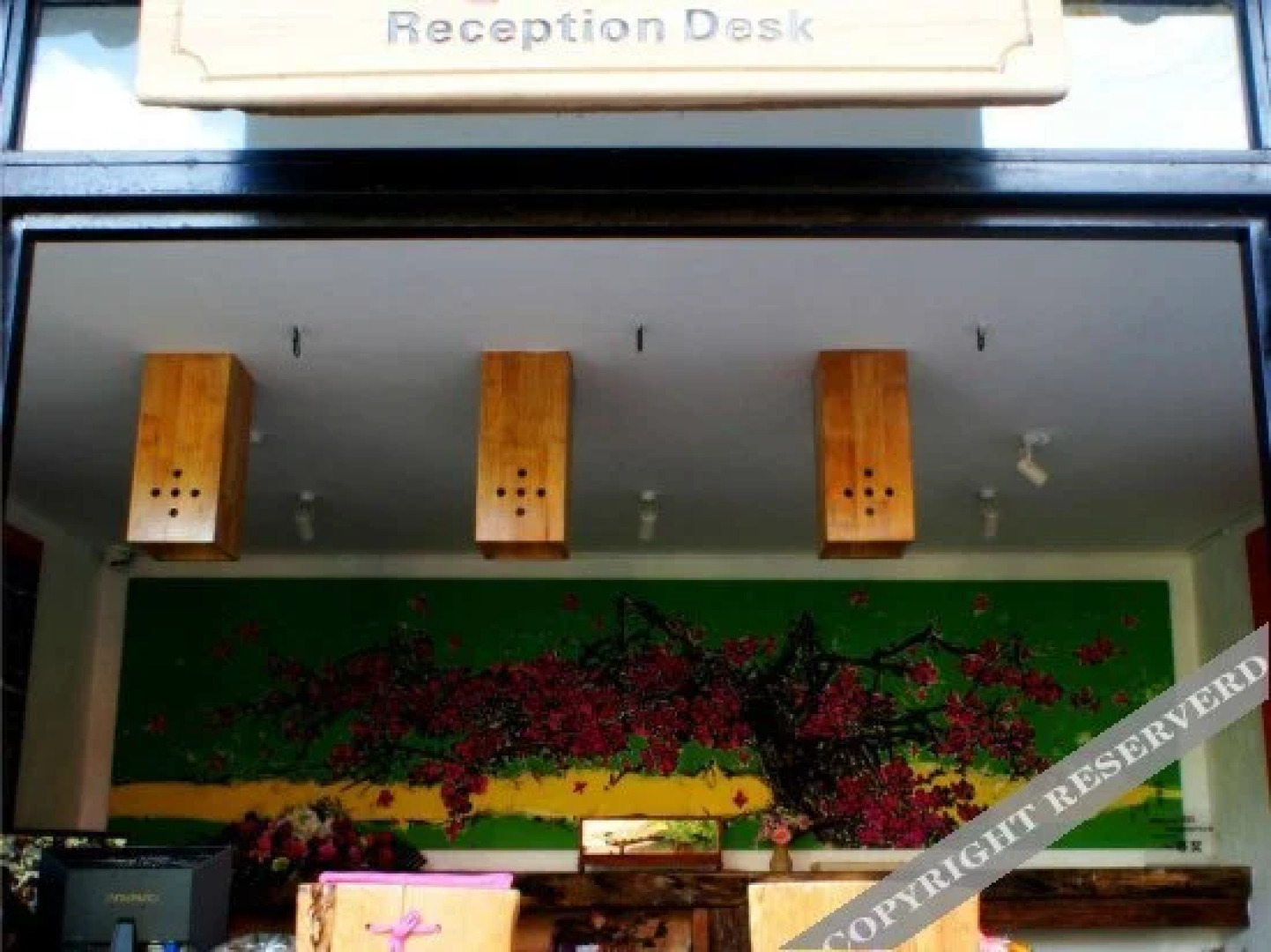 Pu'er Gudao Boke Art Inn