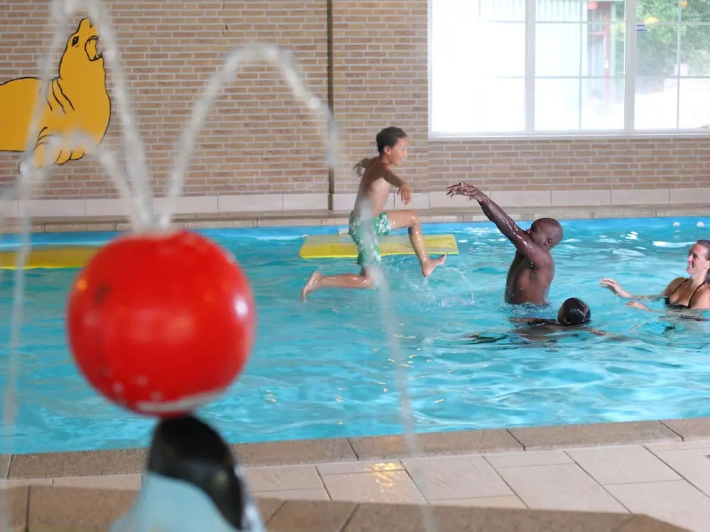 Holiday Home With a Dishwasher, 3 km. From Hellendoorn Park