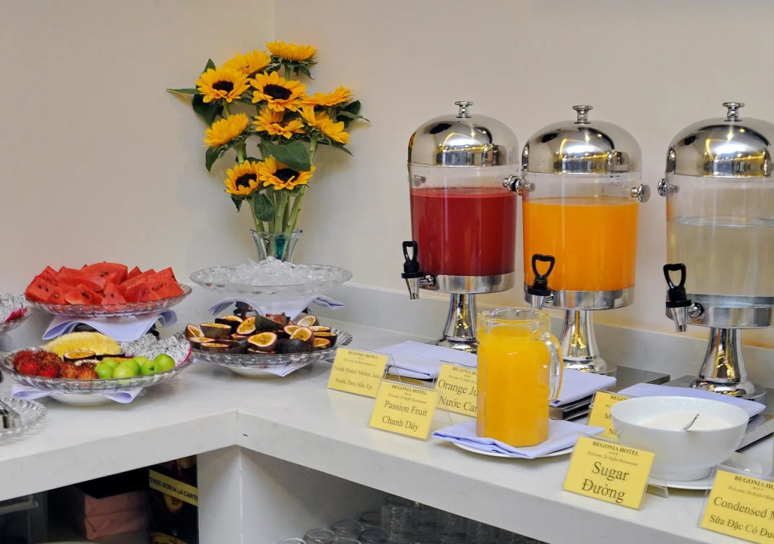 Begonia Nha Trang Hotel