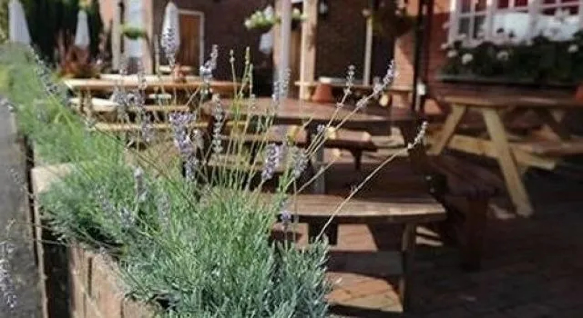 The Bull On The Green