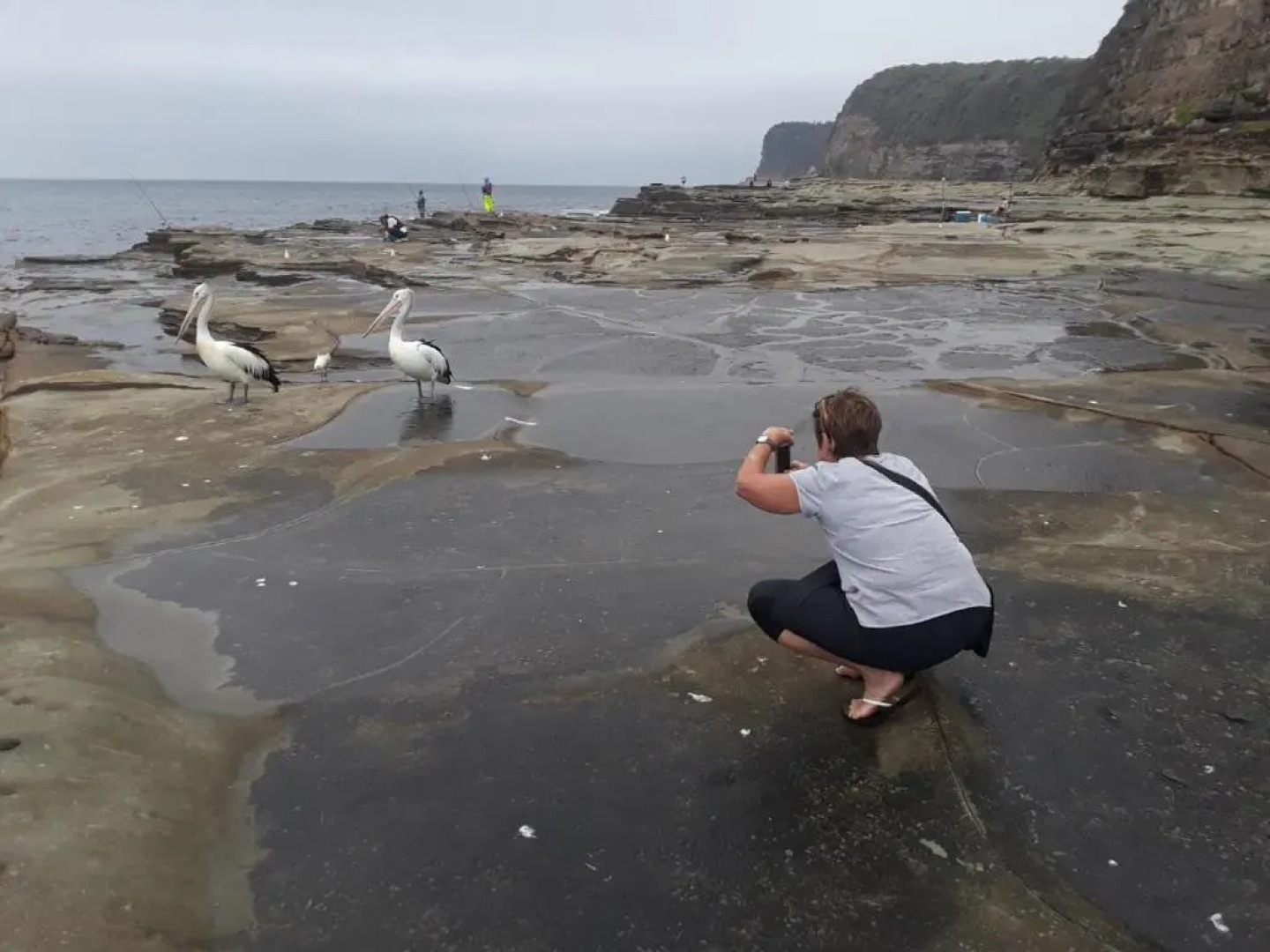 Rockwall Avoca Beach