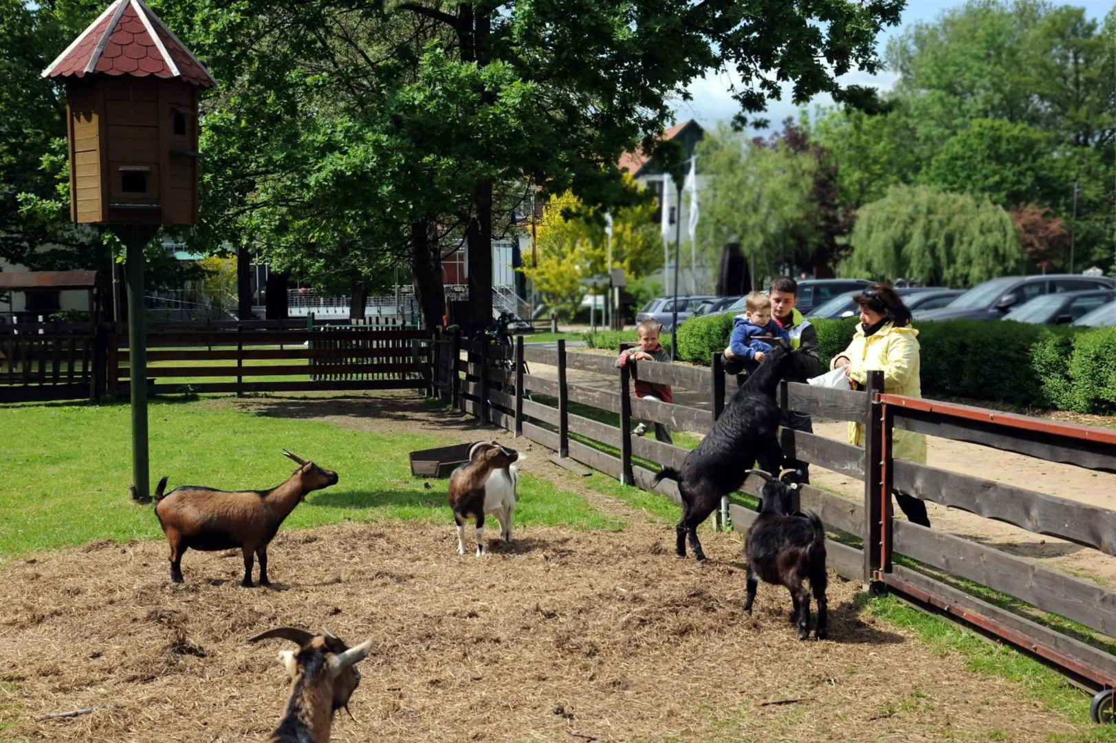 Landhotel Burg Im Spreewald