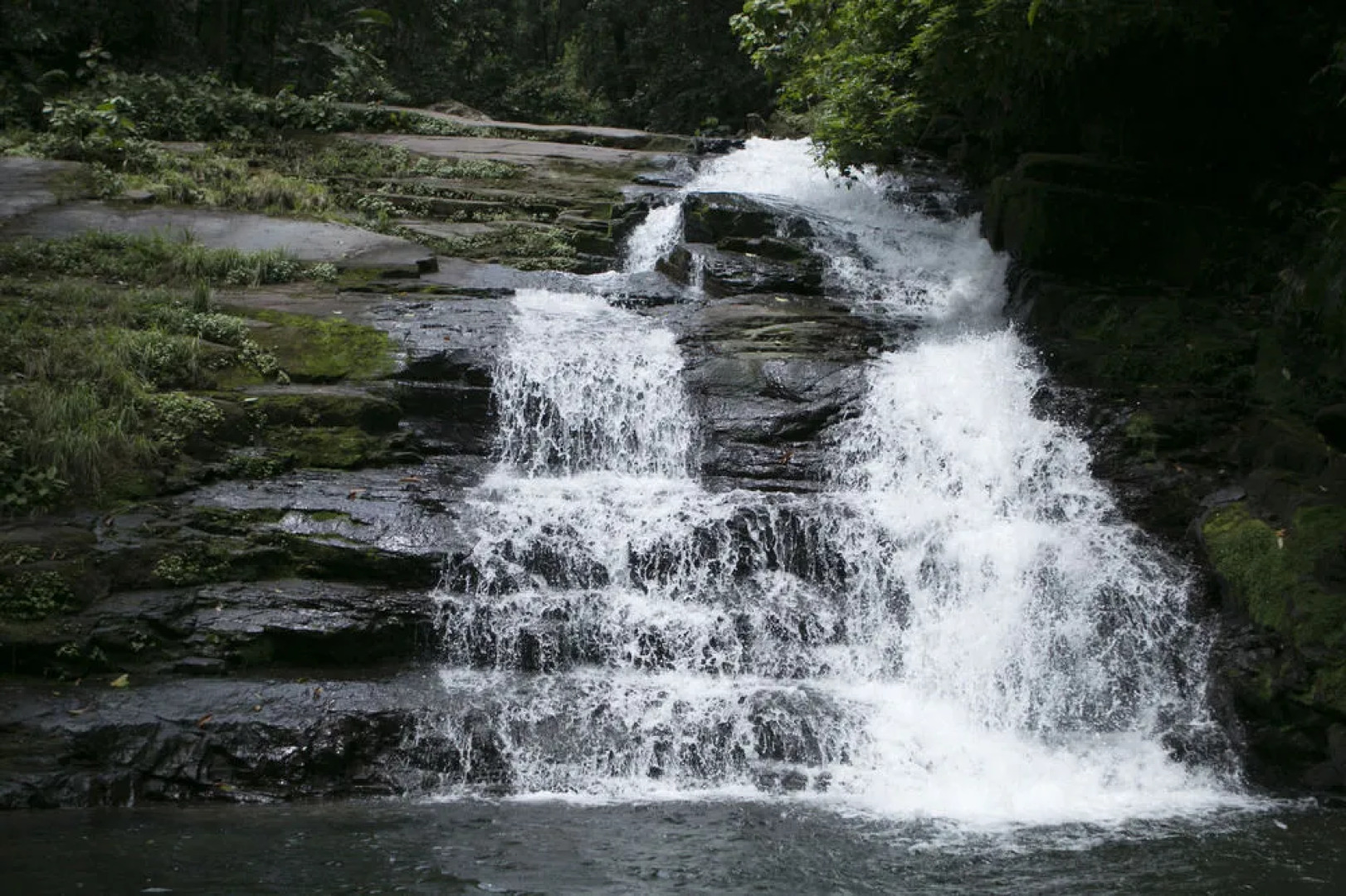 Rios Tropicales Lodge