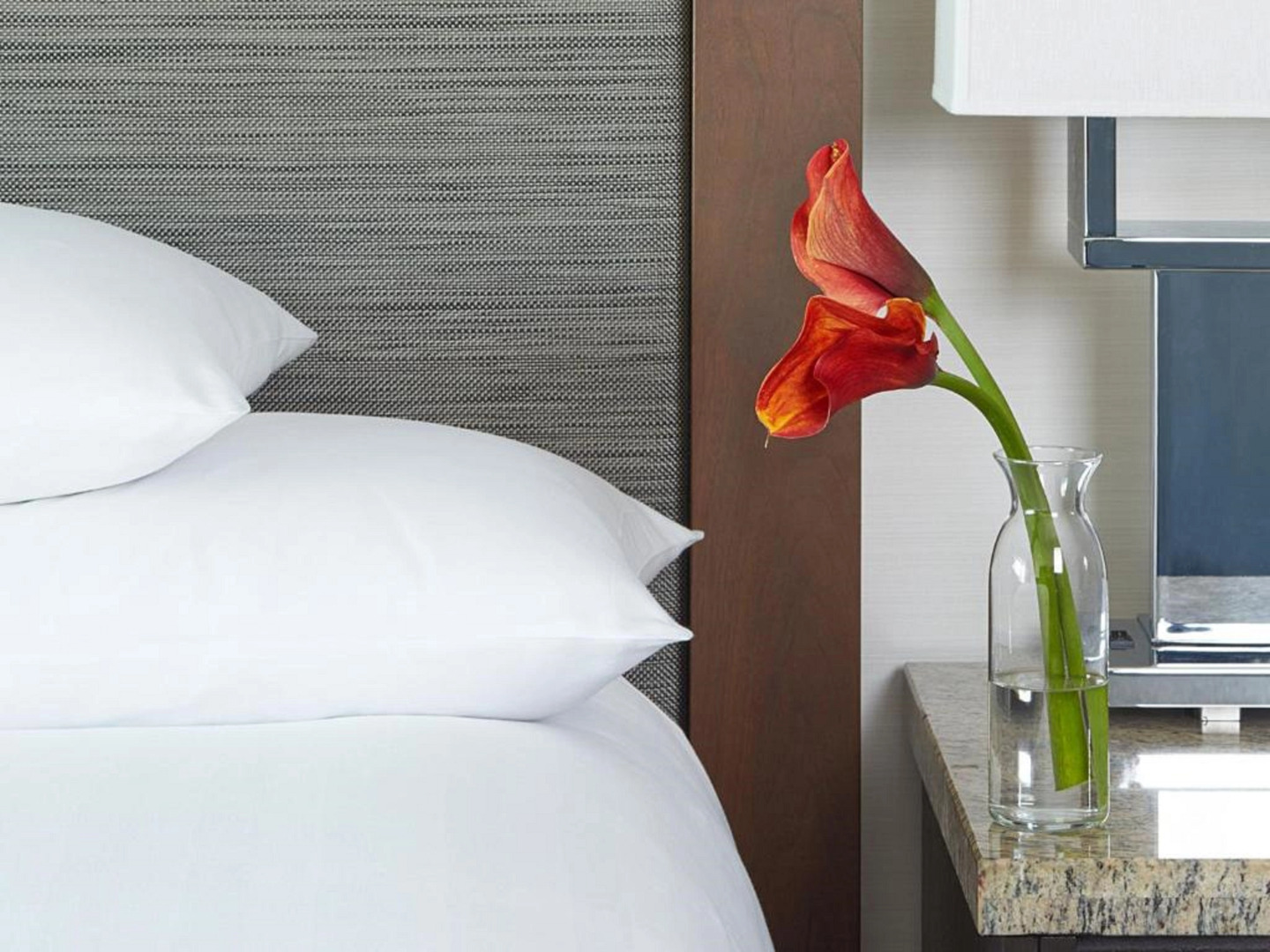 Hyatt Regency Atlanta Downtown