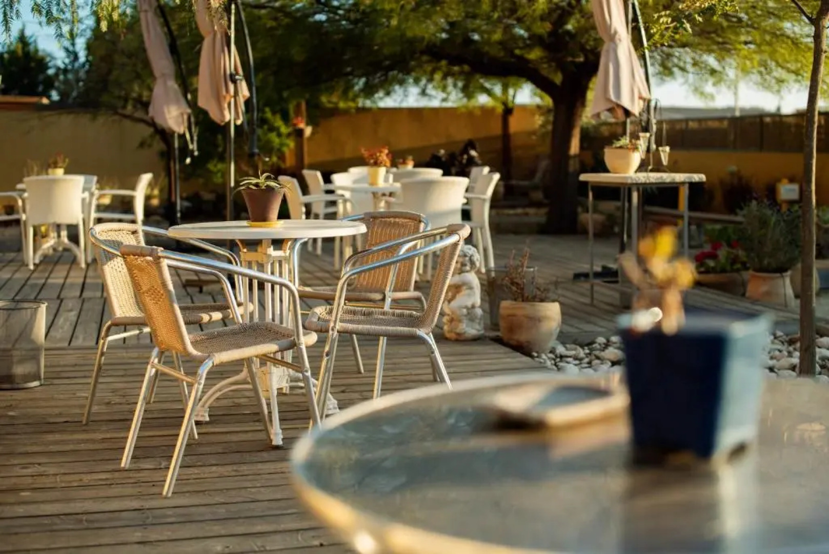 ibex unique Desert Inn