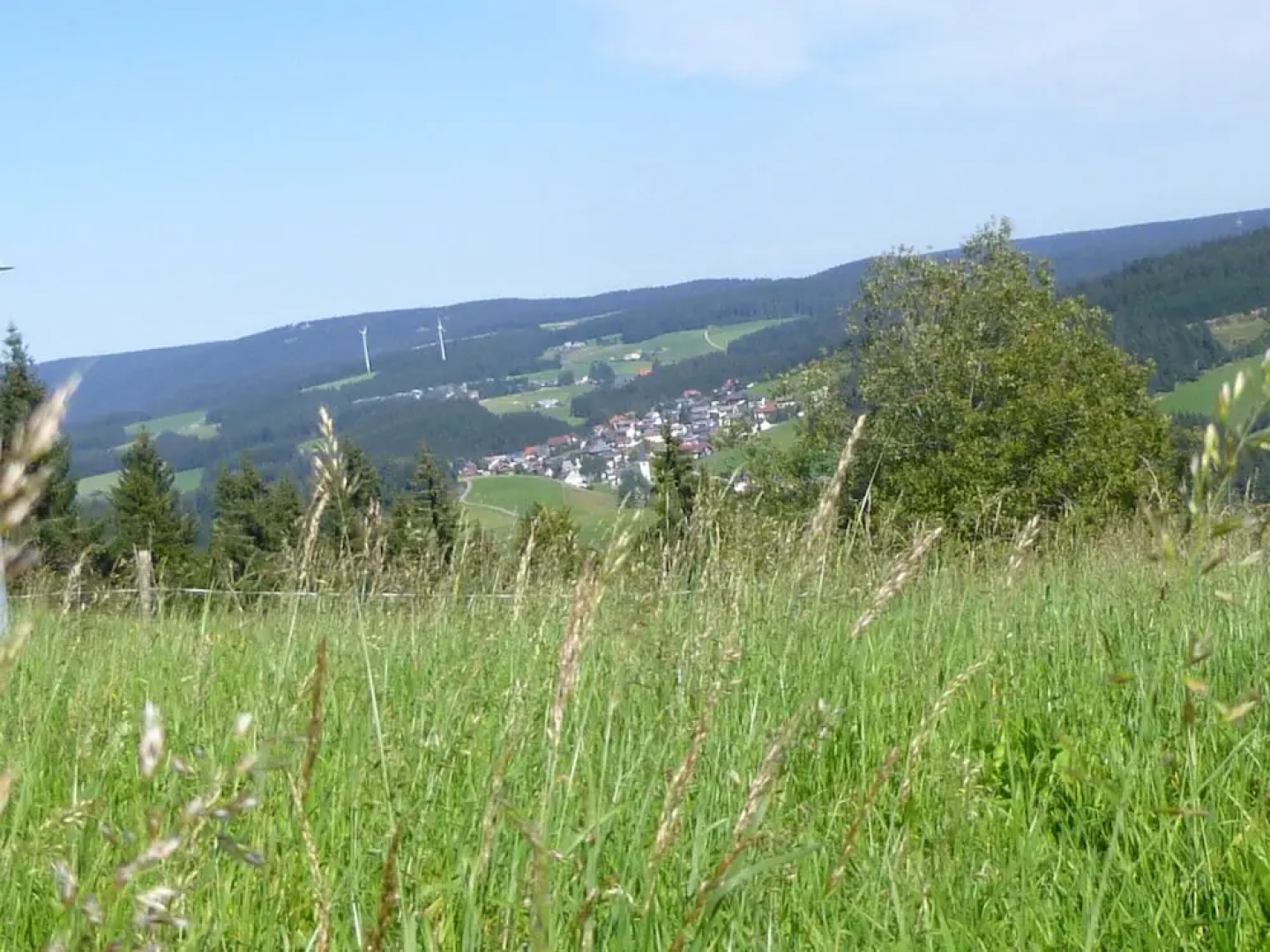Lush Apartment in Furtwangen near Black Forest with Balcony