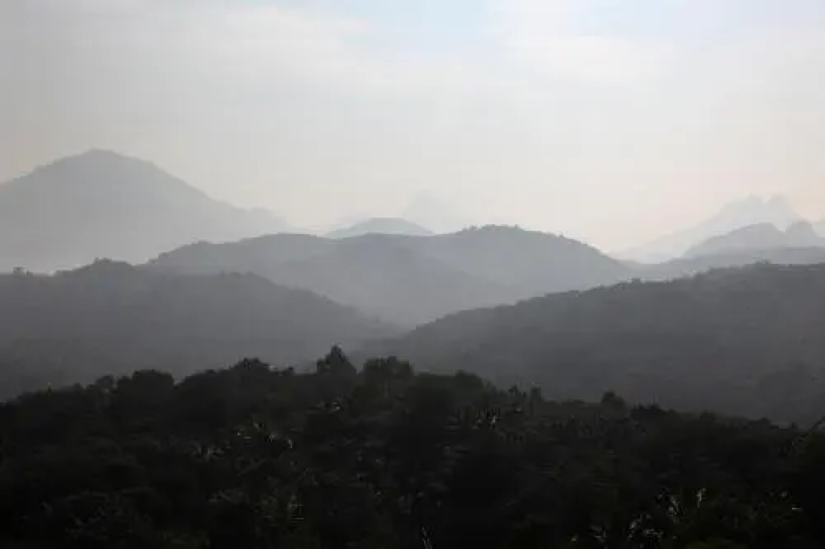 Bio Veda Ayurvedic Hill resort