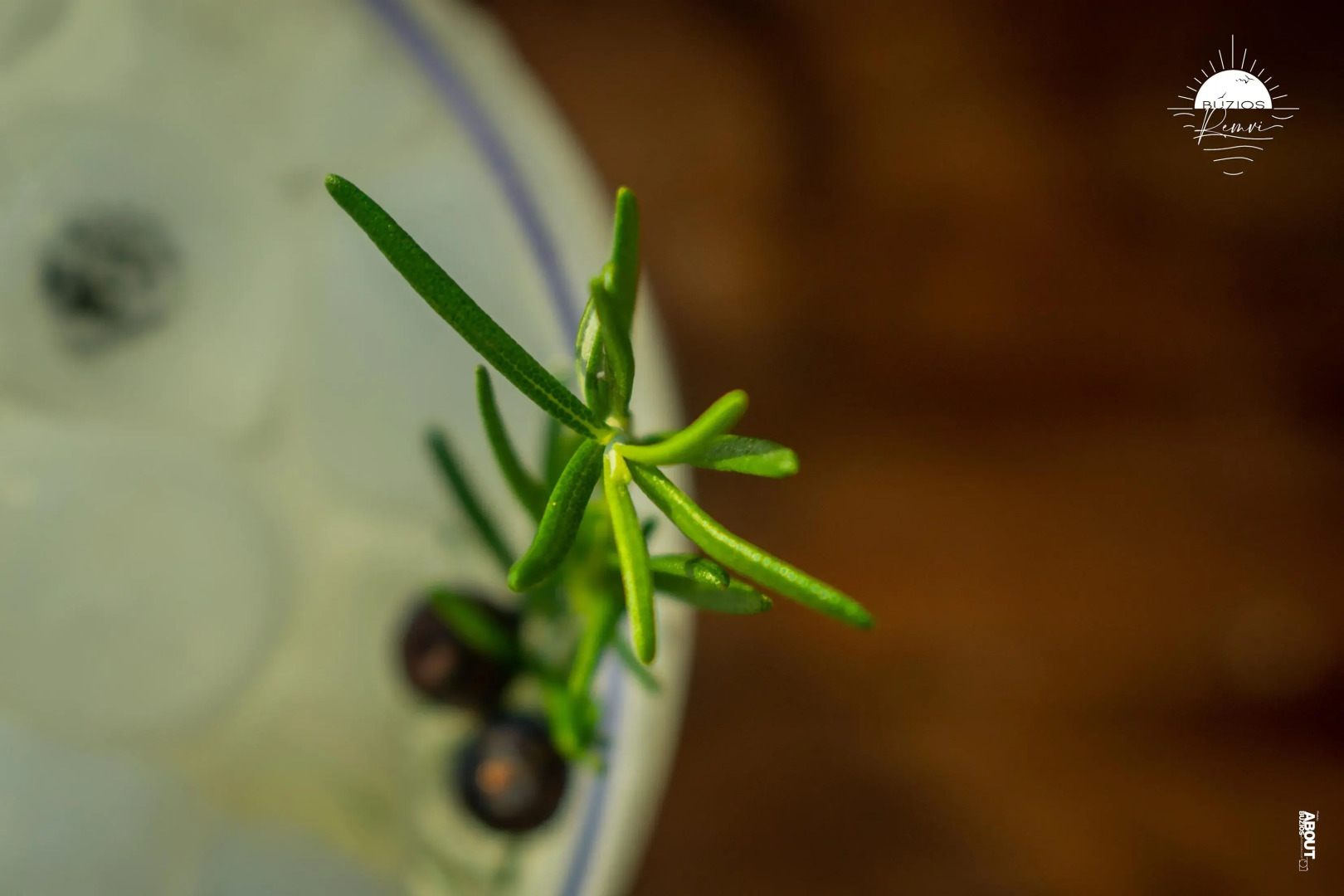 Pousada Praia João Fernandes