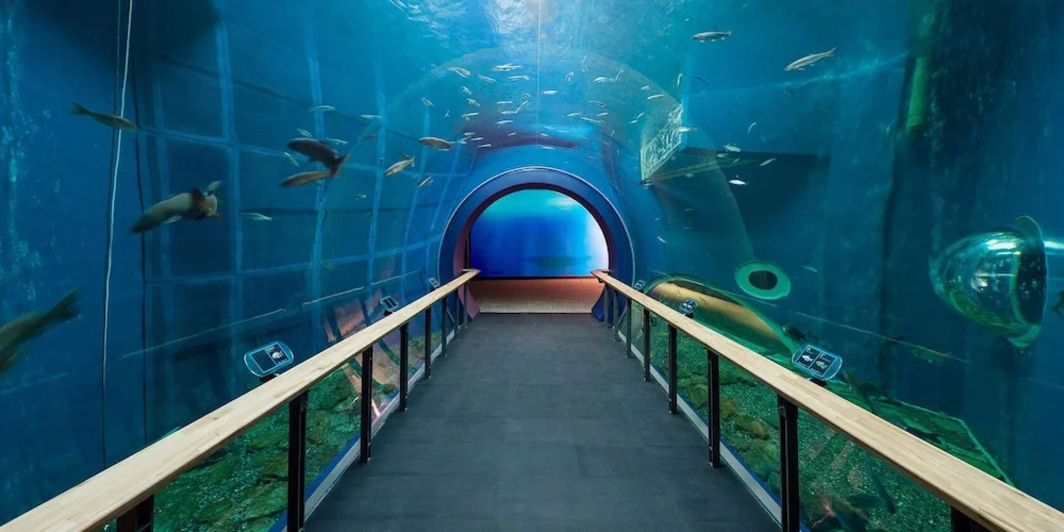 Hotel Palms - Adults Only