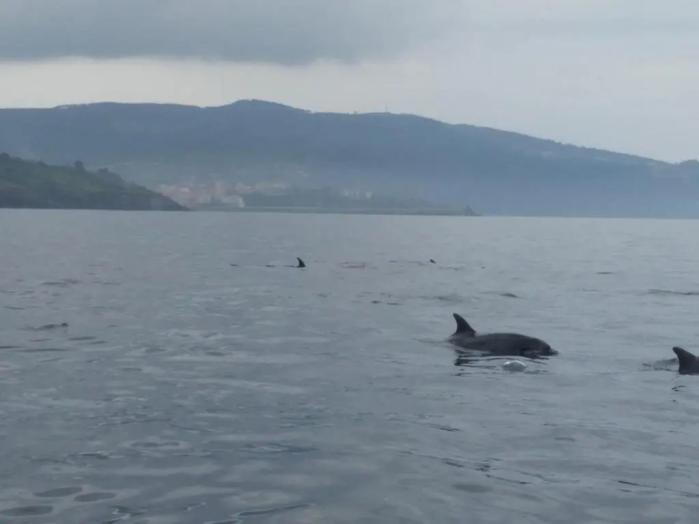 Bermeoko Etxie La casa de Bermeo EBI-795