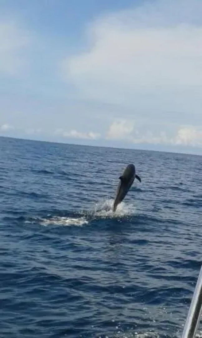 Hostel La Vieja Panaderia & Restaurant