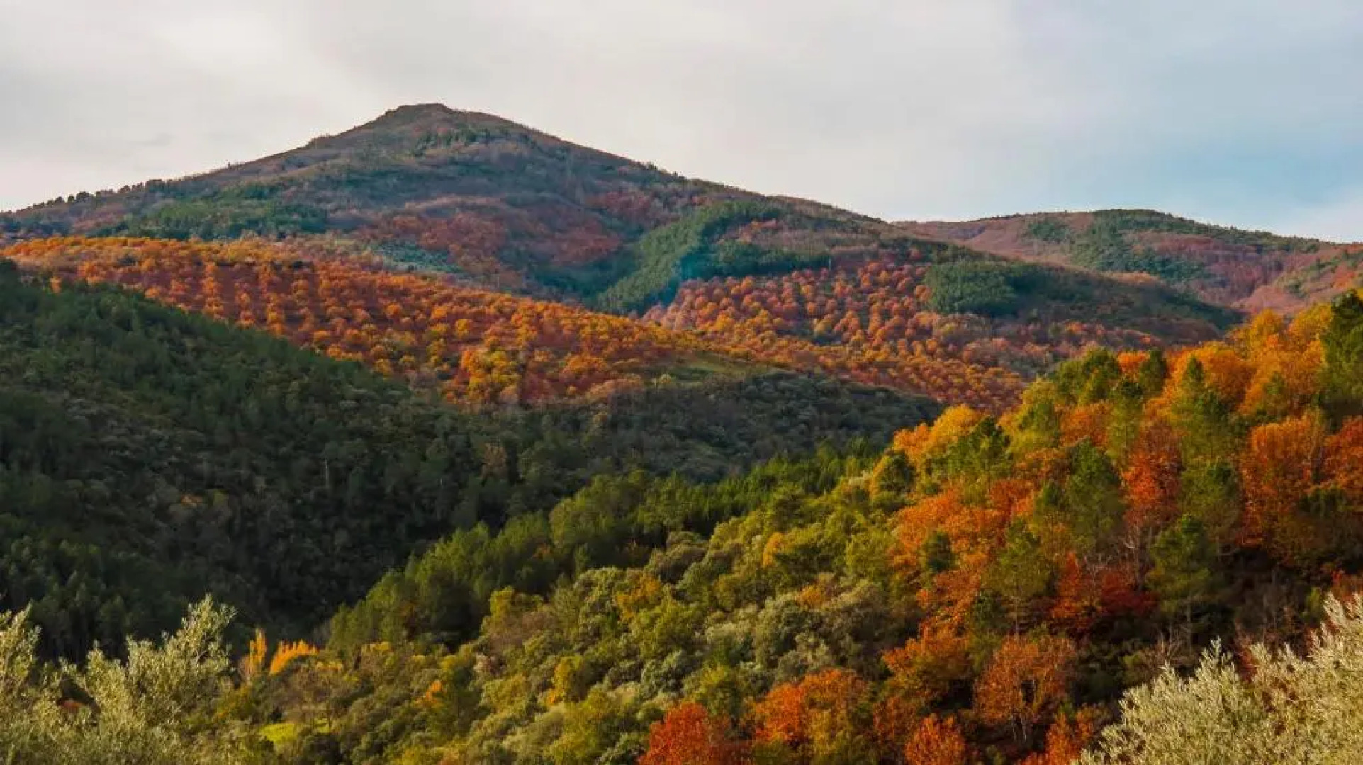 Hostal Altamira Guadalupe