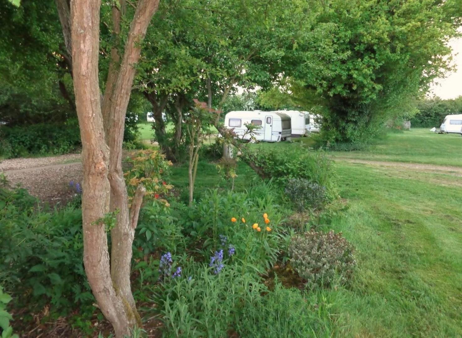 Brick Kiln Farm - Campground