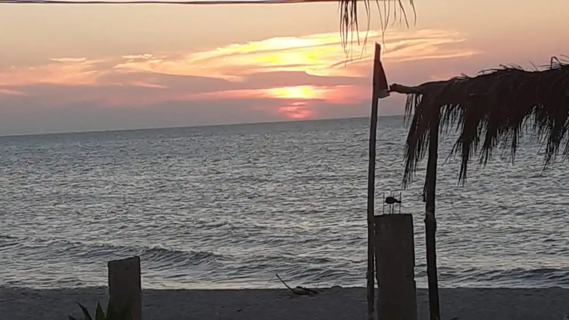 Flamingo Guest House Celestún