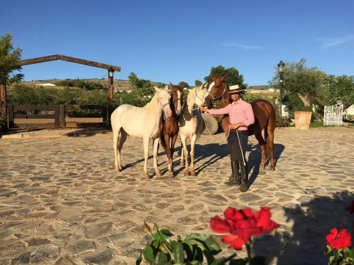 Apartamento La Herencia