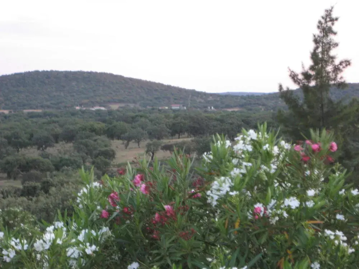 Monte dos Apóstolos