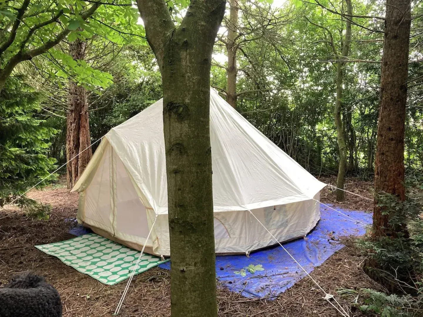 Woodlands Basic Bell Tent 2