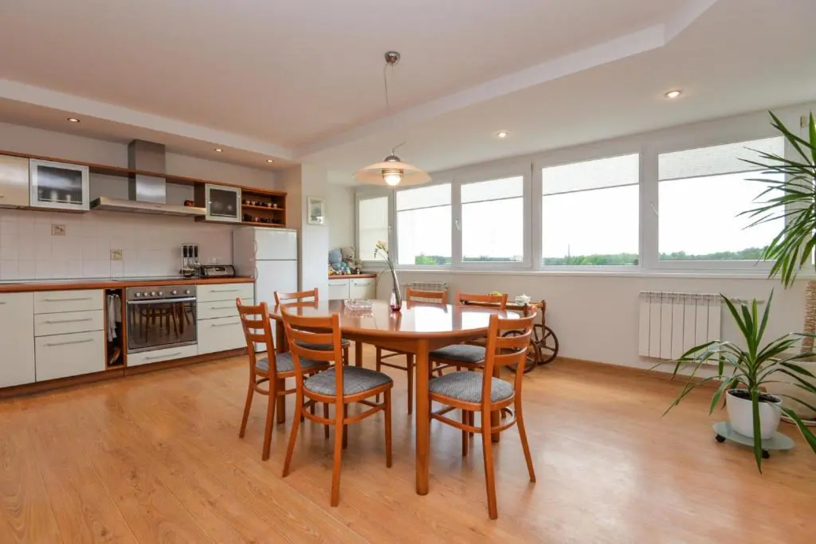 Druskininkai Apartment