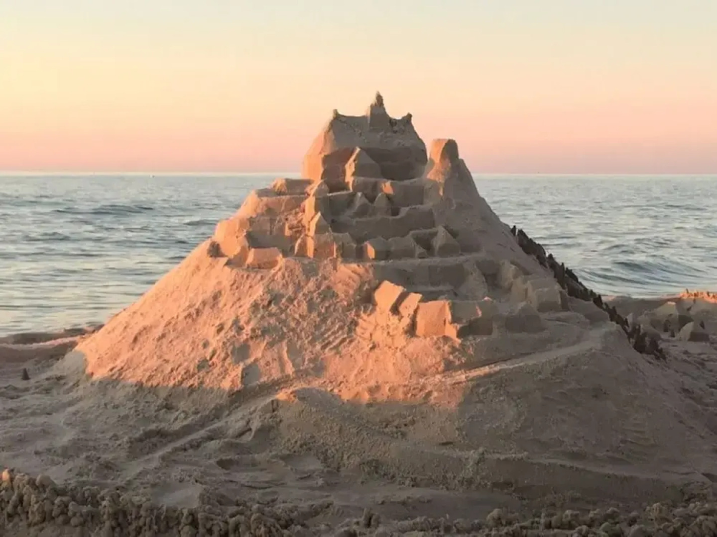 Black-headed Gull Comfortable Holiday Residence