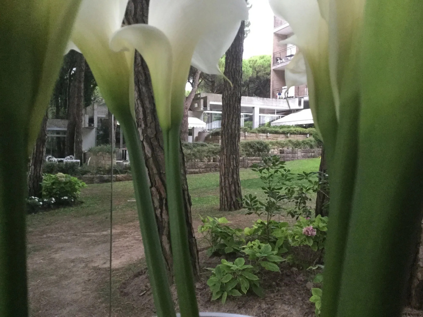 Bellevue Hotel & Resort