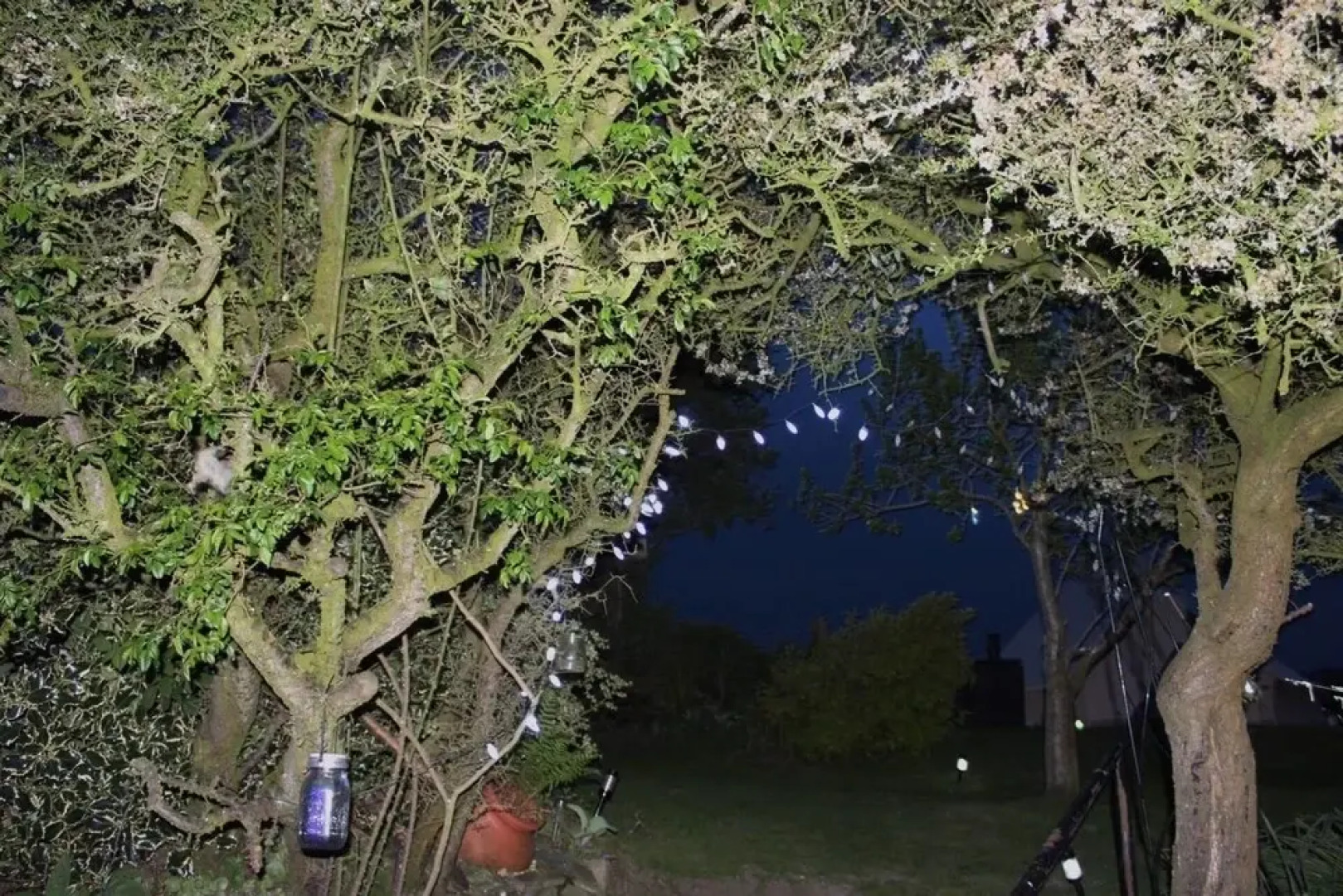 Woody's Cosy Winter Glamping