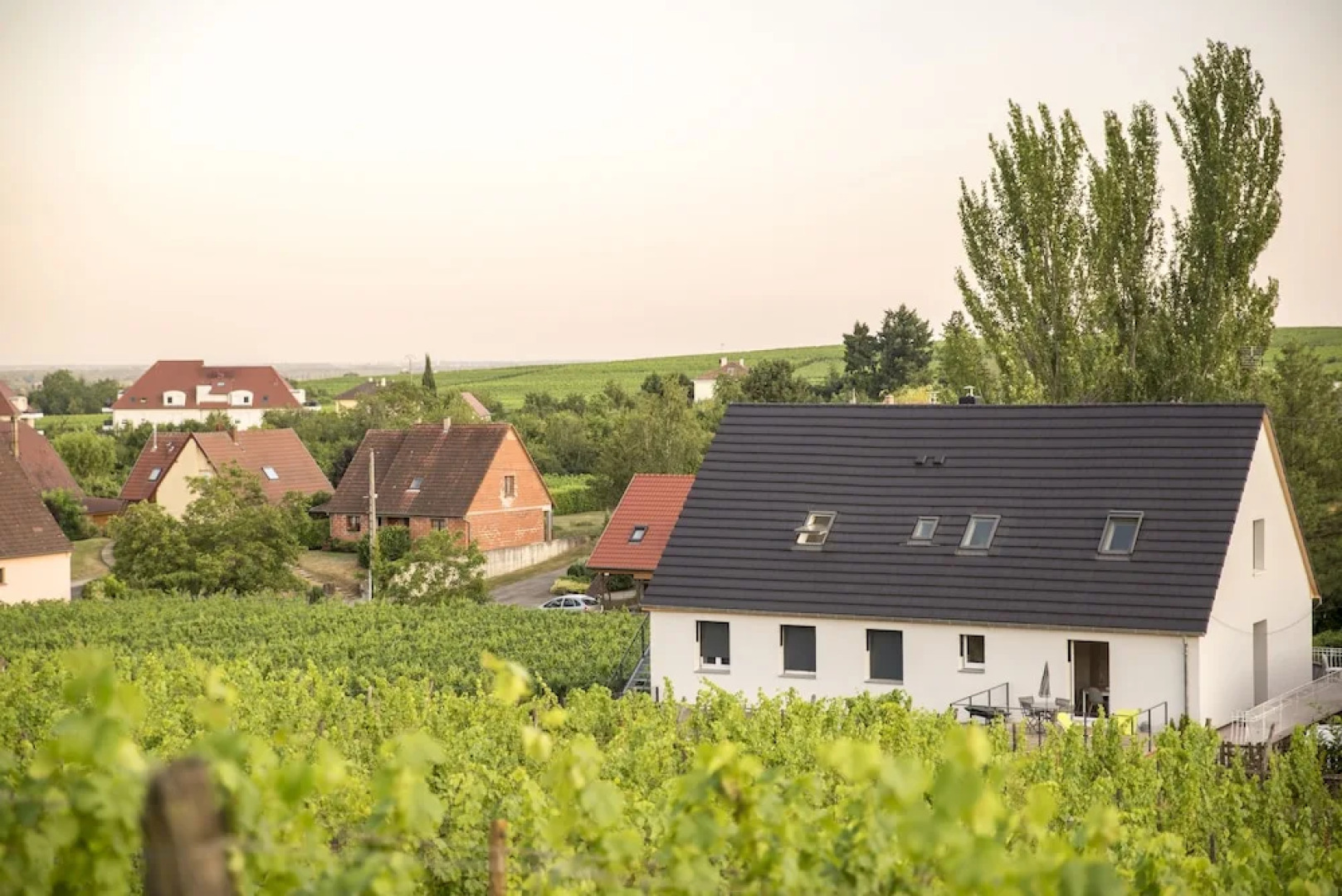 Aux pieds des vignes - Studio - 4 pers