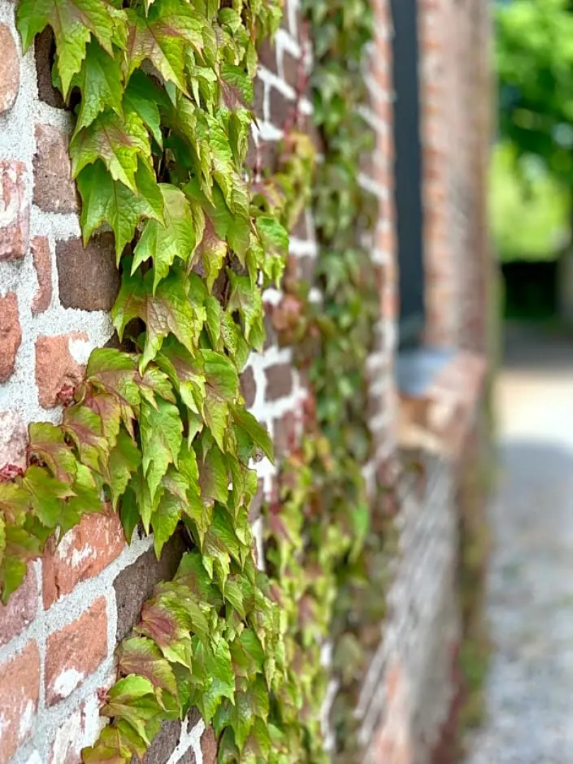 Bed & Breakfast Karakter