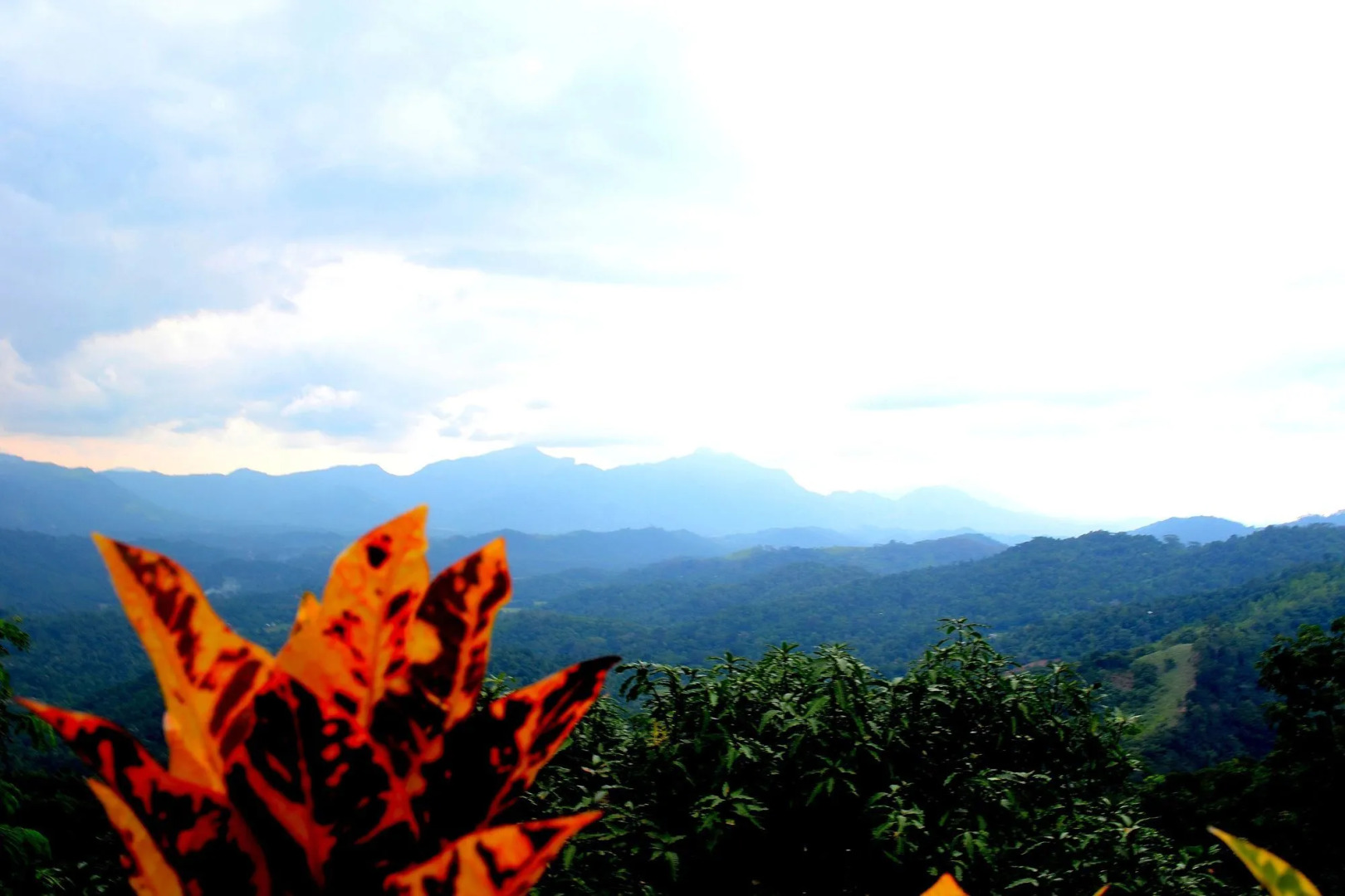 Green View Holiday Resort