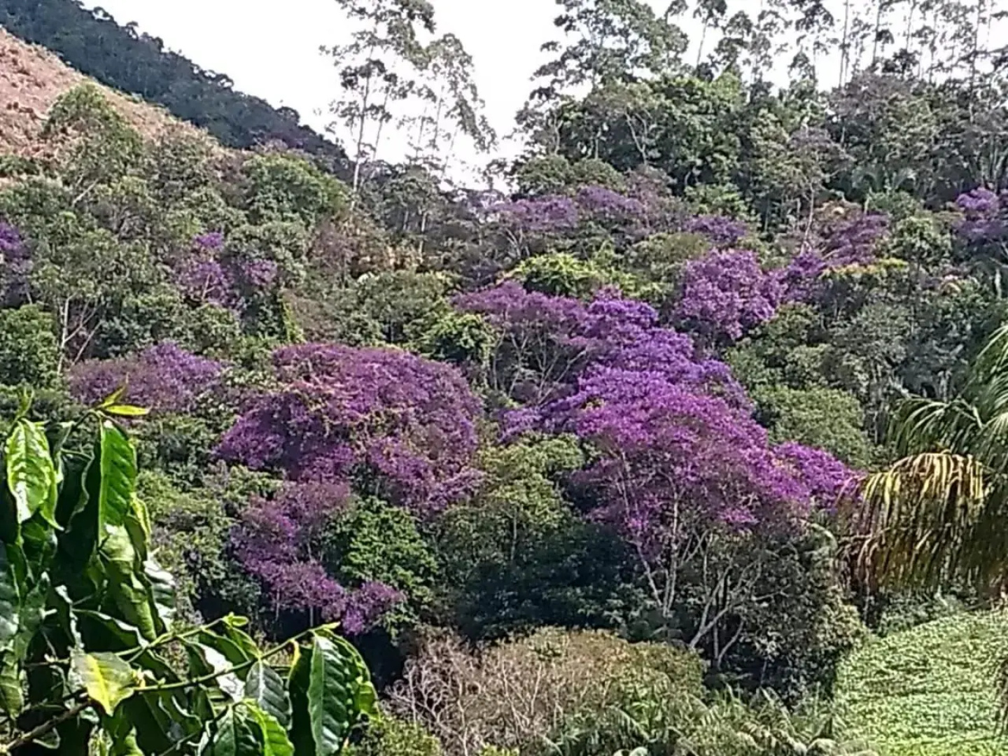 Recanto dos Amigos